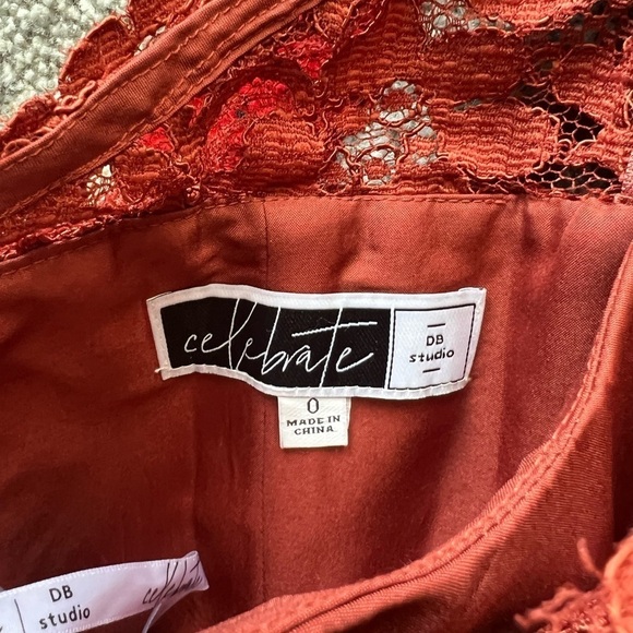 Celebrate DB Studio One Shoulder Corded Lace Mesh Dress - Picture 5 of 7